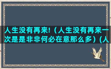 人生没有再来!（人生没有再来一次是是非非何必在意那么多）(人生没有再来一次)