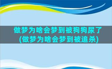 做梦为啥会梦到被狗狗尿了(做梦为啥会梦到被追杀)