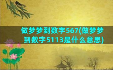 做梦梦到数字567(做梦梦到数字5113是什么意思)