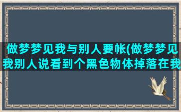 做梦梦见我与别人要帐(做梦梦见我别人说看到个黑色物体掉落在我家门外)