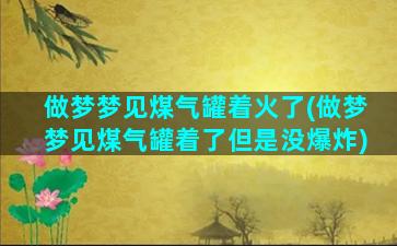 做梦梦见煤气罐着火了(做梦梦见煤气罐着了但是没爆炸)