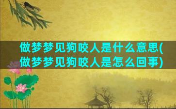 做梦梦见狗咬人是什么意思(做梦梦见狗咬人是怎么回事)