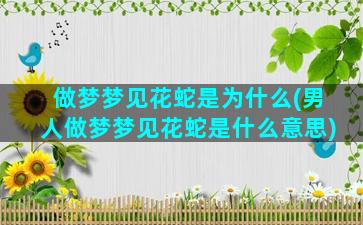 做梦梦见花蛇是为什么(男人做梦梦见花蛇是什么意思)