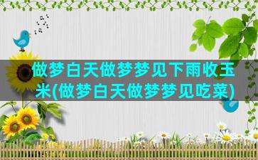 做梦白天做梦梦见下雨收玉米(做梦白天做梦梦见吃菜)