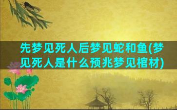 先梦见死人后梦见蛇和鱼(梦见死人是什么预兆梦见棺材)