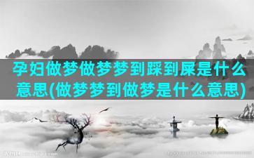 孕妇做梦做梦梦到踩到屎是什么意思(做梦梦到做梦是什么意思)