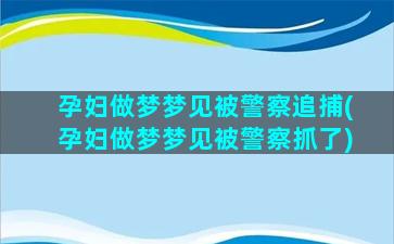 孕妇做梦梦见被警察追捕(孕妇做梦梦见被警察抓了)