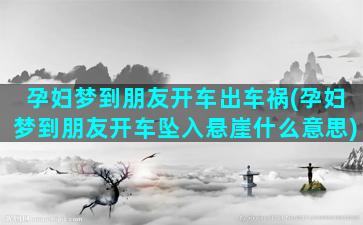 孕妇梦到朋友开车出车祸(孕妇梦到朋友开车坠入悬崖什么意思)