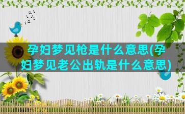 孕妇梦见枪是什么意思(孕妇梦见老公出轨是什么意思)