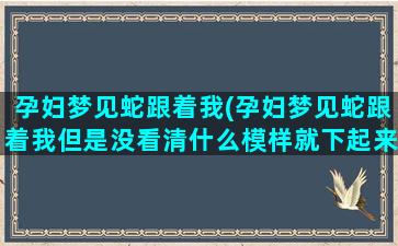 孕妇梦见蛇跟着我(孕妇梦见蛇跟着我但是没看清什么模样就下起来了)