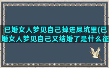 已婚女人梦见自己掉进屎坑里(已婚女人梦见自己又结婚了是什么征兆)