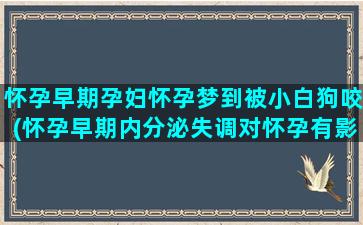 怀孕早期孕妇怀孕梦到被小白狗咬(怀孕早期内分泌失调对怀孕有影响吗)