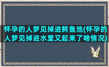 怀孕的人梦见掉进鳄鱼池(怀孕的人梦见掉进水里又起来了啥情况)