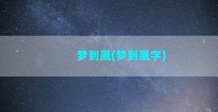 梦到凰(梦到凰字)