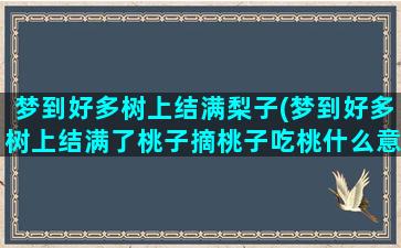 梦到好多树上结满梨子(梦到好多树上结满了桃子摘桃子吃桃什么意思)