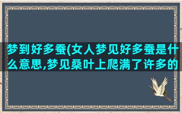 梦到好多蚕(女人梦见好多蚕是什么意思,梦见桑叶上爬满了许多的蚕子和茧)