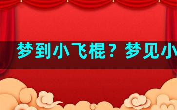 梦到小飞棍？梦见小飞人