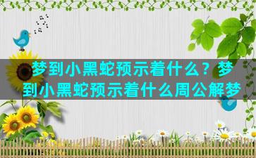 梦到小黑蛇预示着什么？梦到小黑蛇预示着什么周公解梦