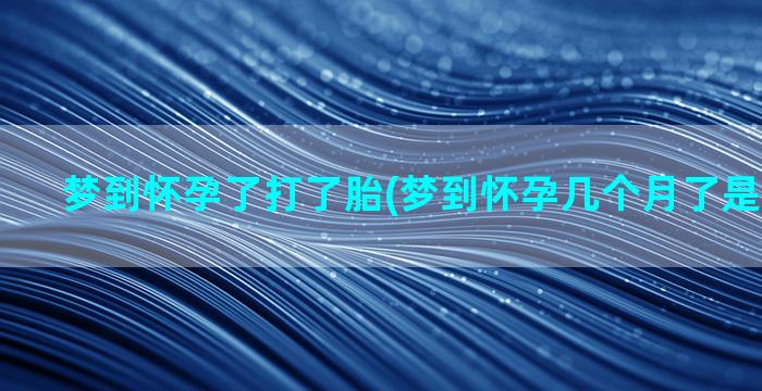 梦到怀孕了打了胎(梦到怀孕几个月了是什么意思)