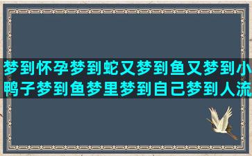 梦到怀孕梦到蛇又梦到鱼又梦到小鸭子梦到鱼梦里梦到自己梦到人流后梦到血崩(怀孕梦到蛇又梦到花)