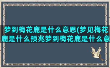 梦到梅花鹿是什么意思(梦见梅花鹿是什么预兆梦到梅花鹿是什么意思)