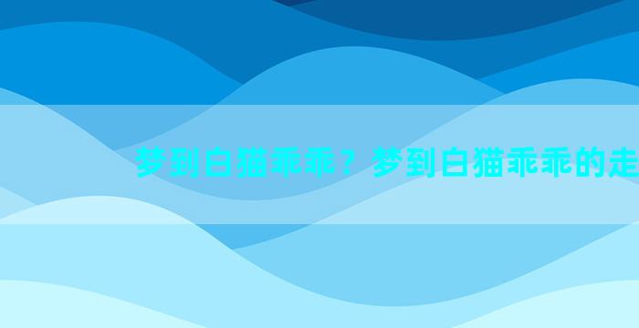 梦到白猫乖乖？梦到白猫乖乖的走