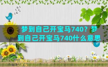 梦到自己开宝马740？梦到自己开宝马740什么意思