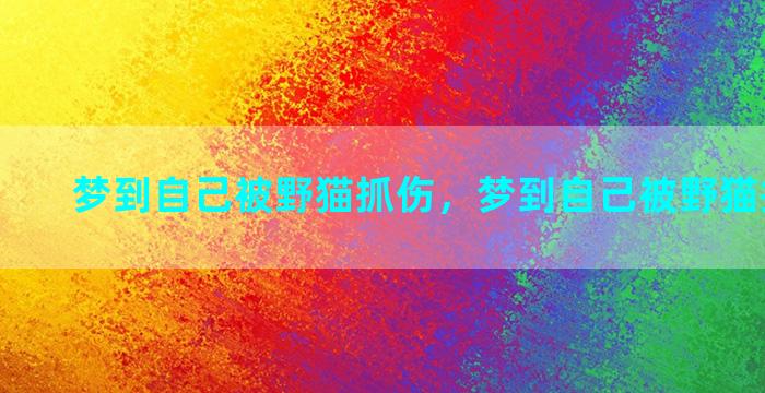 梦到自己被野猫抓伤，梦到自己被野猫抓伤出血