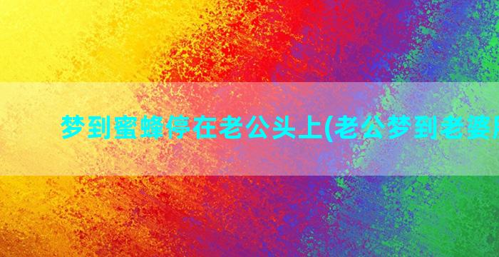 梦到蜜蜂停在老公头上(老公梦到老婆胎停了)