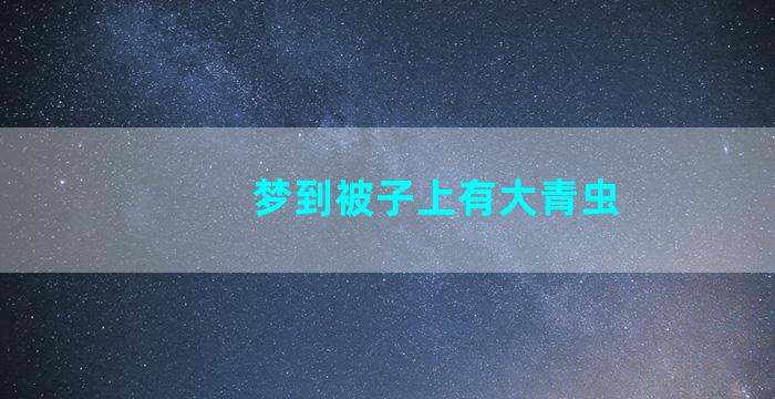 梦到被子上有大青虫