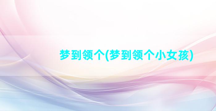 梦到领个(梦到领个小女孩)