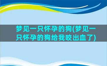 梦见一只怀孕的狗(梦见一只怀孕的狗给我咬出血了)