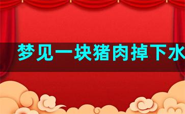 梦见一块猪肉掉下水道里