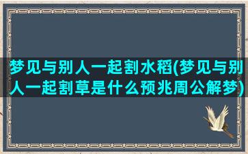 梦见与别人一起割水稻(梦见与别人一起割草是什么预兆周公解梦)