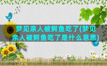 梦见亲人被鳄鱼吃了(梦见亲人被鳄鱼吃了是什么意思)