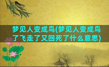 梦见人变成鸟(梦见人变成鸟了飞走了又回死了什么意思)