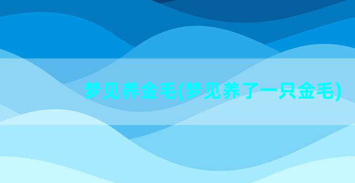 梦见养金毛(梦见养了一只金毛)