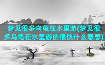 梦见很多乌龟在水里游(梦见很多乌龟在水里游的很快什么意思)