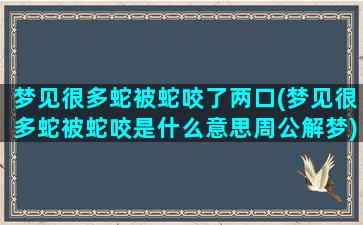 梦见很多蛇被蛇咬了两口(梦见很多蛇被蛇咬是什么意思周公解梦)