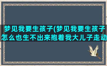 梦见我要生孩子(梦见我要生孩子怎么也生不出来抱着我大儿子走动)