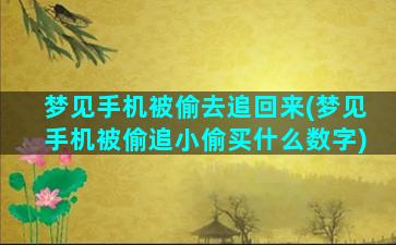 梦见手机被偷去追回来(梦见手机被偷追小偷买什么数字)