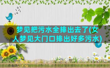 梦见把污水全排出去了(女人梦见大门口排出好多污水)