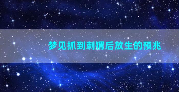 梦见抓到刺猬后放生的预兆