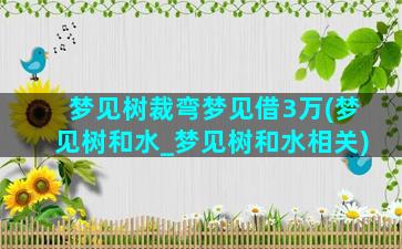 梦见树裁弯梦见借3万(梦见树和水_梦见树和水相关)