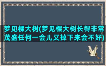 梦见棵大树(梦见棵大树长得非常茂盛任何一会儿又掉下来会不好)