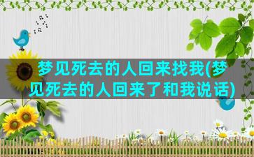 梦见死去的人回来找我(梦见死去的人回来了和我说话)