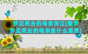 梦见死去的母亲哭泣(做梦梦见死去的母亲是什么意思)