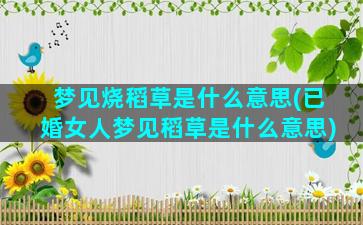 梦见烧稻草是什么意思(已婚女人梦见稻草是什么意思)