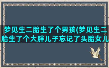 梦见生二胎生了个男孩(梦见生二胎生了个大胖儿子忘记了头胎女儿)