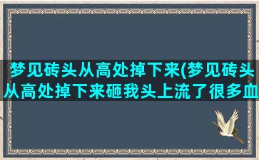 梦见砖头从高处掉下来(梦见砖头从高处掉下来砸我头上流了很多血)